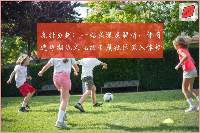 虎扑分析：一站式深度解析，体育迷与潮流文化的专属社区深入体验