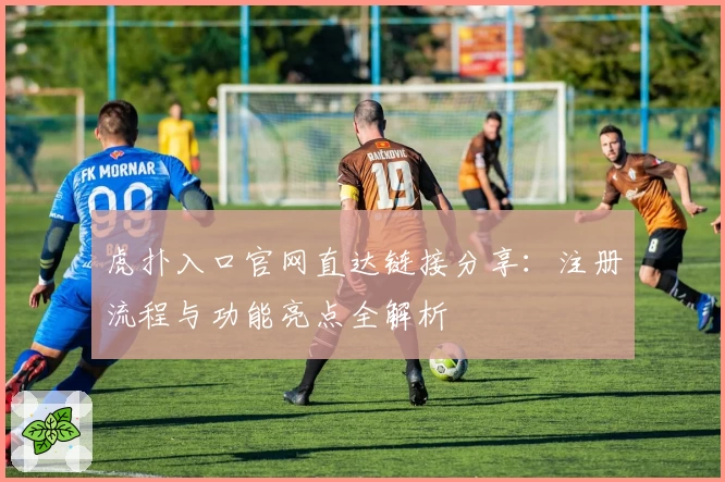 虎扑入口官网直达链接分享：注册流程与功能亮点全解析