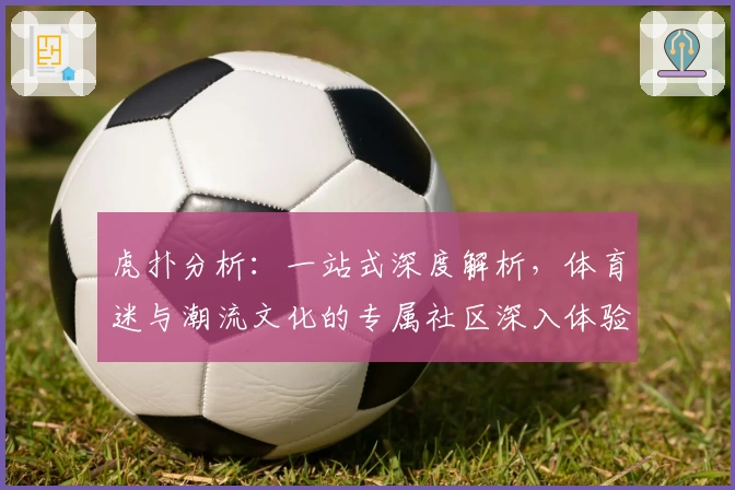 虎扑分析：一站式深度解析，体育迷与潮流文化的专属社区深入体验