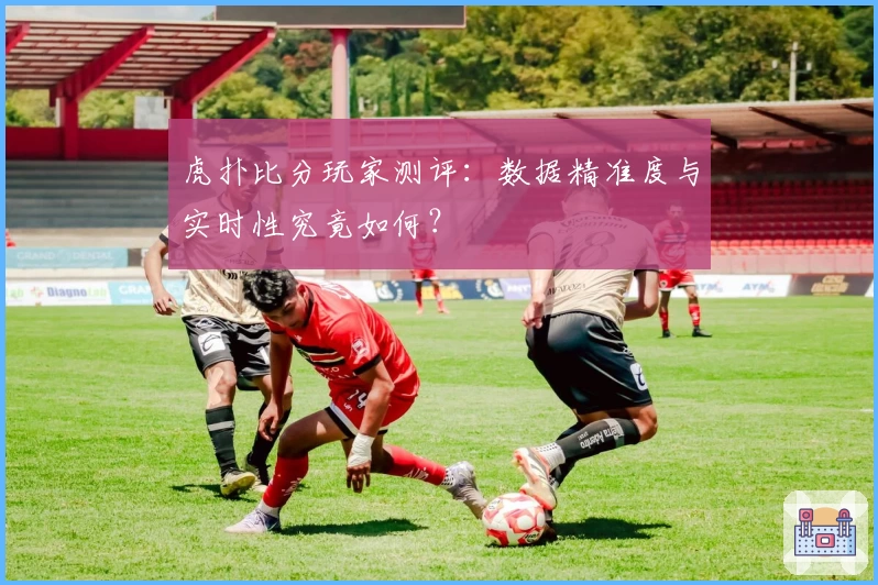 虎扑比分玩家测评：数据精准度与实时性究竟如何？