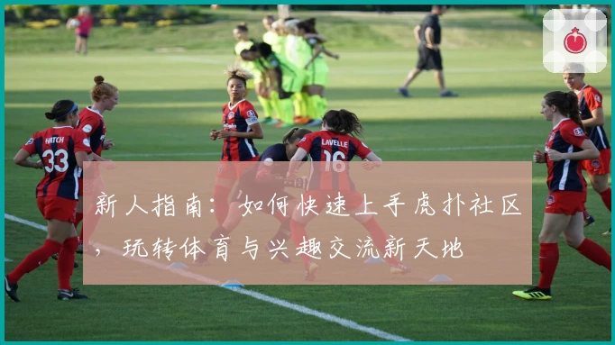 新人指南:如何快速上手虎扑社区,玩转体育与兴趣交流新天地